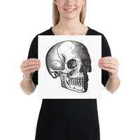 skull print