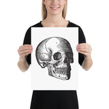 skull print